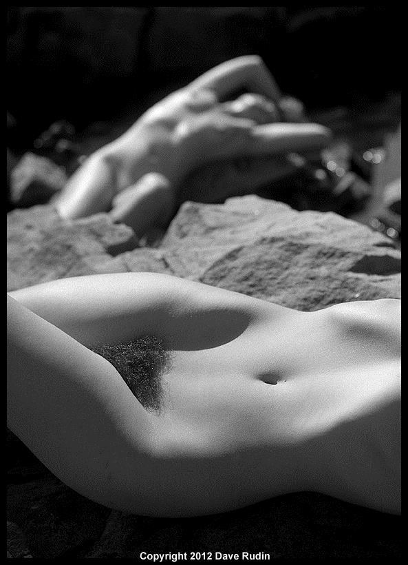 Nude, Maine, 2012 Artistic Nude Photo by Photographer Dave Rudin