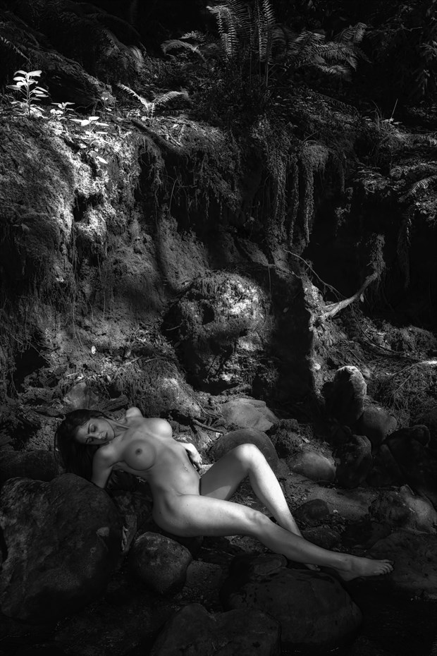 Nude   Primeval Forest Artistic Nude Photo by Photographer Philip Turner