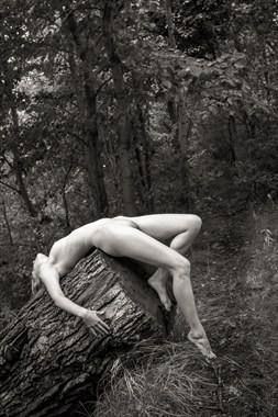 Nude Draped over Dead Tree Artistic Nude Photo by Photographer Risen Phoenix
