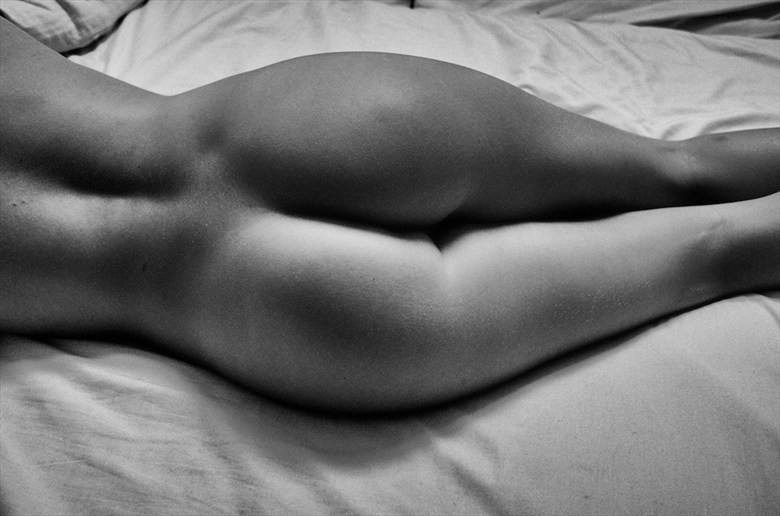 Nude Portrait  Artistic Nude Artwork by Photographer peterwilliams
