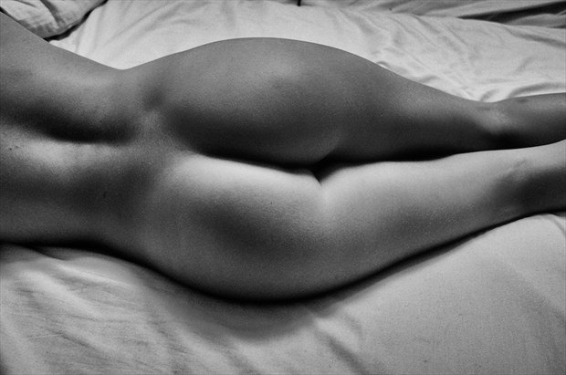 Nude Portrait  Artistic Nude Artwork by Photographer peterwilliams