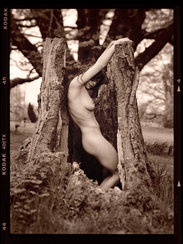 Nude and Oak Artistic Nude Photo by Photographer RayRapkerg