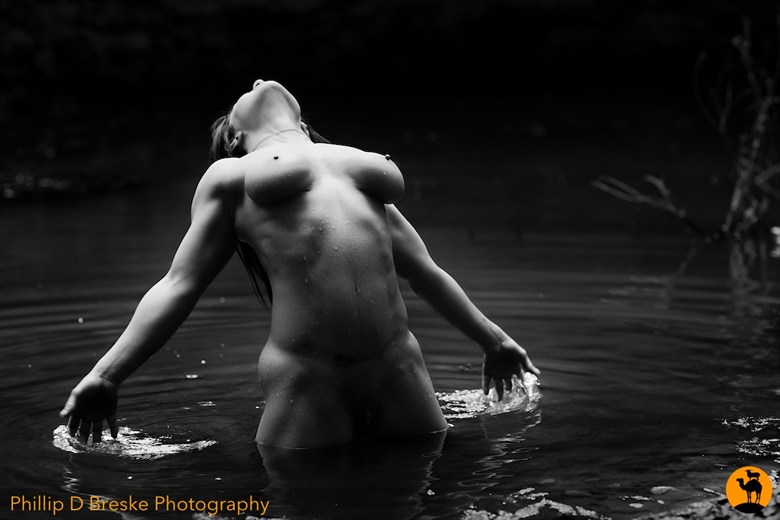 Nude at Scott Spring, Ocala  Nature Photo by Photographer Phillip D Breske