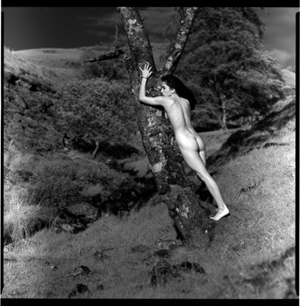 Nude by Tree Artistic Nude Photo by Photographer AR Graphics