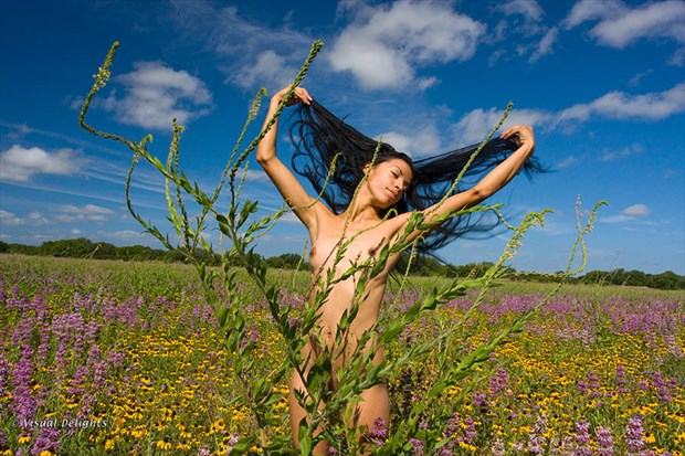 Nude in Dense Wildflower Field Artistic Nude Photo by Photographer Visual Delights