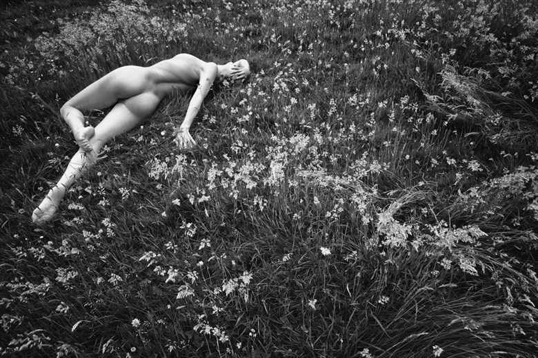 Kayleigh lying nude in a field. 