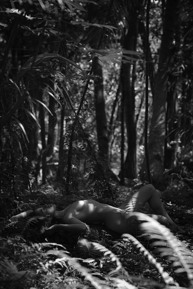 Nude in the Jungle Artistic Nude Photo by Photographer Opp_Photog