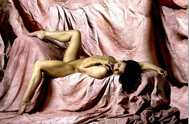 Nude on pink chaise  Artistic Nude Photo by Model T 