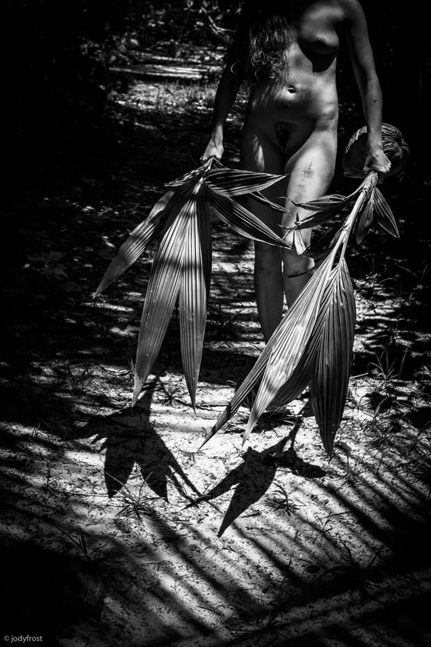 Nude w Palm Fronds Artistic Nude Photo by Photographer jody frost