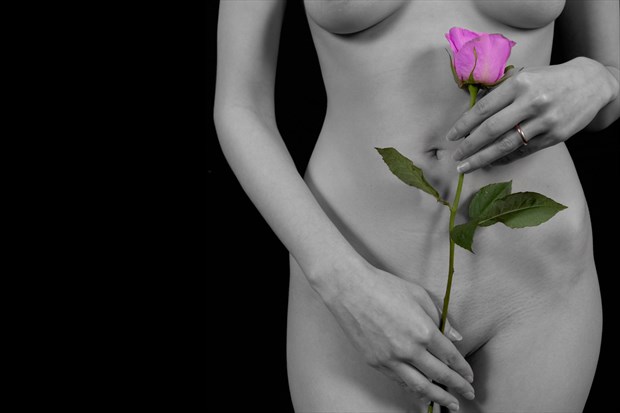 Nude with Rose Artistic Nude Photo by Photographer StephenJC