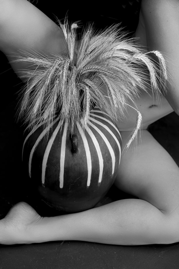 Nude with Vase & Sheaths of Wheat Artistic Nude Photo by Model Catalina Cruise