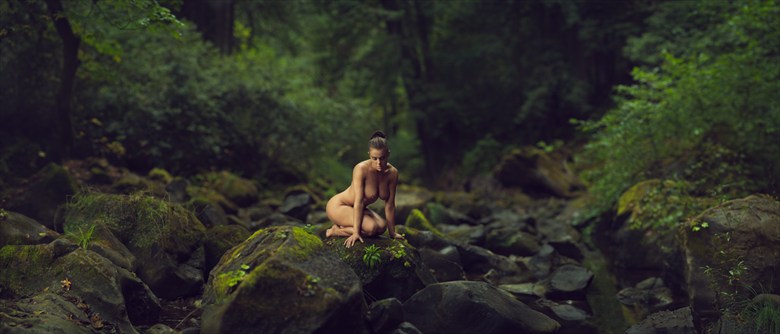 Nude within the forest  Artistic Nude Photo by Model Ceara Blu