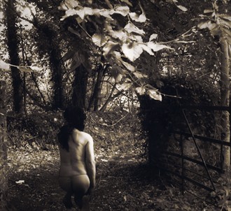 Odes to Autumn  Artistic Nude Photo by Photographer Marty C 