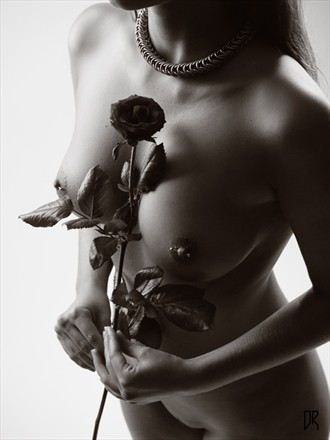 Oe flower Artistic Nude Photo by Photographer animanaut