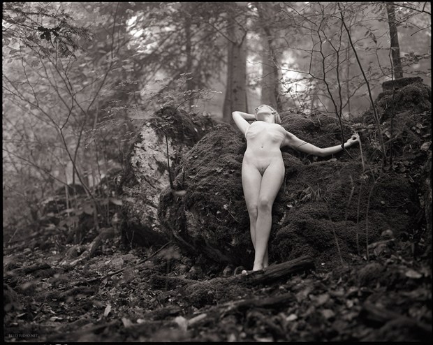 Offered Artistic Nude Photo by Photographer Fabien Queloz