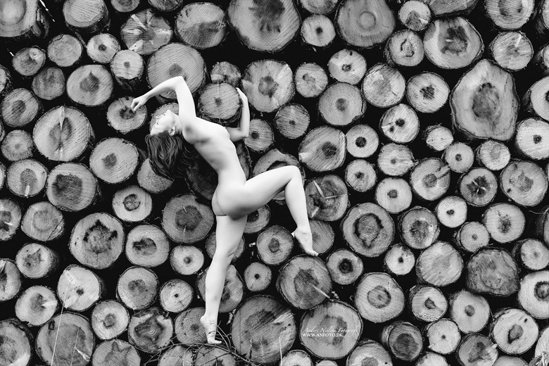 Omnia Artistic Nude Artwork by Photographer Anders Nielsen