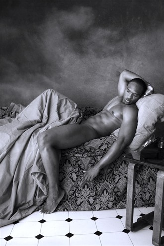 On Silk and Damask Artistic Nude Photo by Photographer melbrackstone