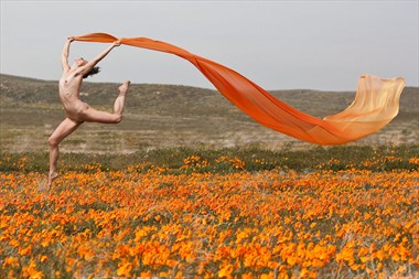 Orange Fun Artistic Nude Photo by Model Miss Anya
