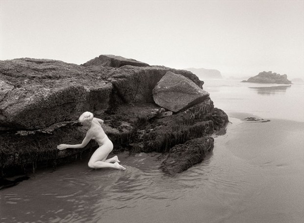 Oregon Study %2311 Artistic Nude Photo by Photographer allenbirnbach