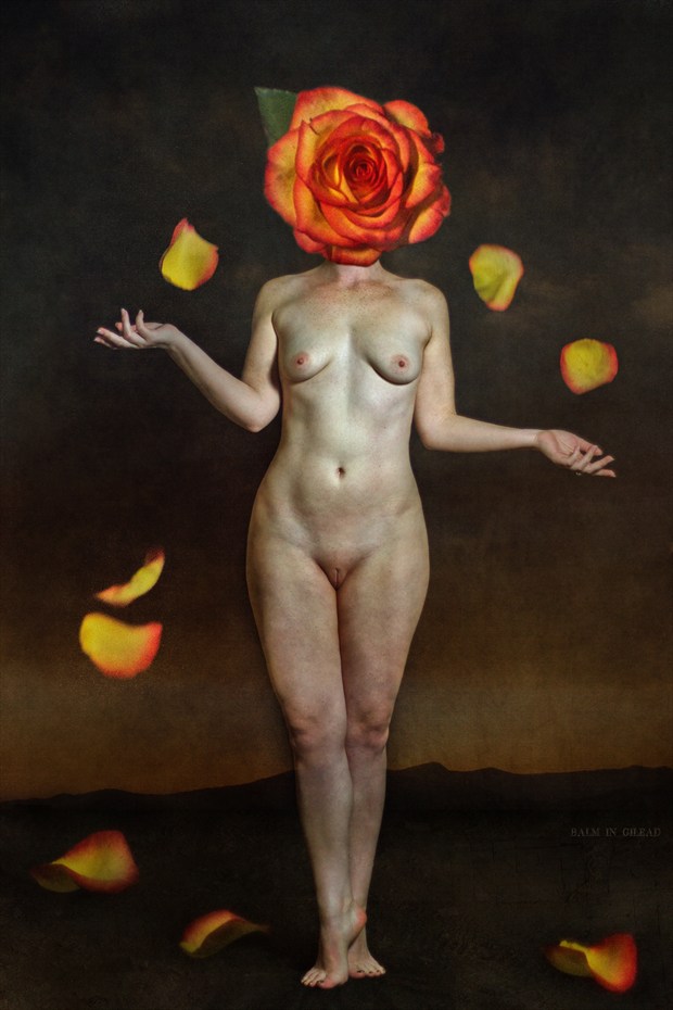 Our Lady of the Roses Artistic Nude Photo by Model HollyLoveday