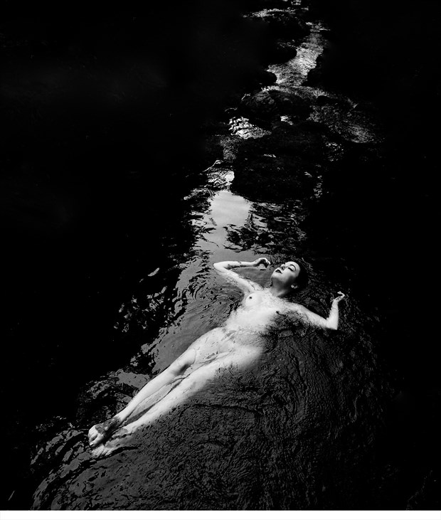 Out of the Black Series Artistic Nude Photo by Photographer MSL Photography