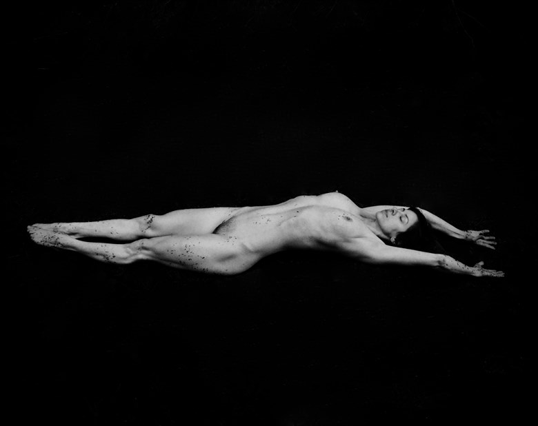 Out of the Black series  Artistic Nude Photo by Photographer MSL Photography