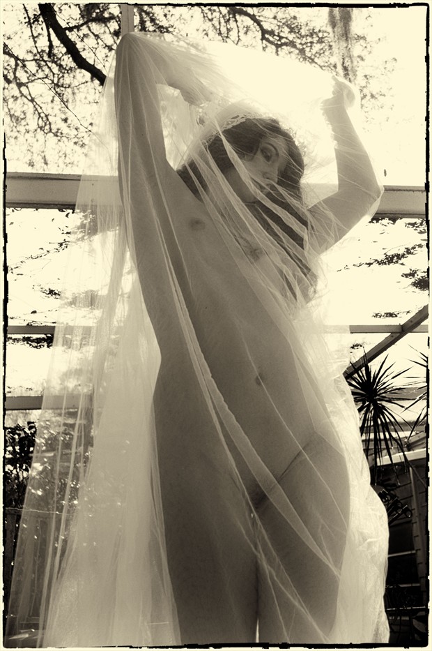 Paiges' Wedding Dream Artistic Nude Photo by Photographer EdR
