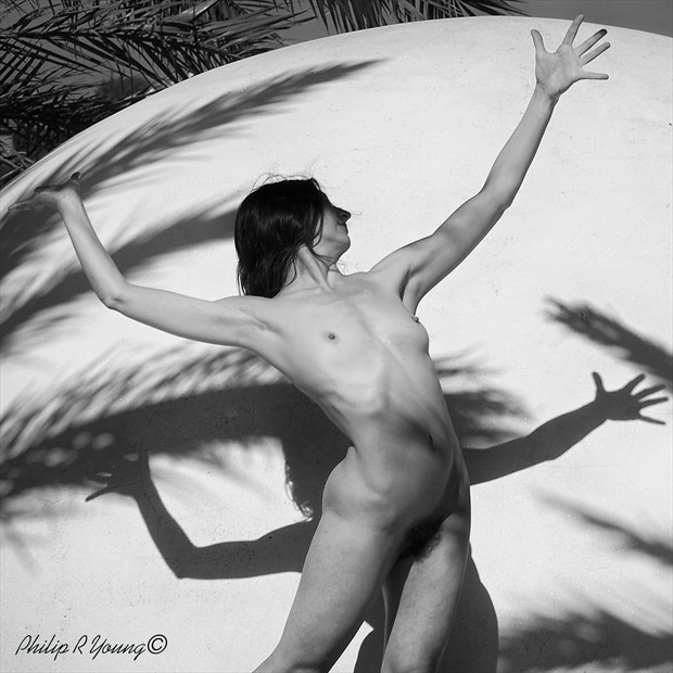 Palm Shadows Nude Artistic Nude Photo by Photographer Philip Young