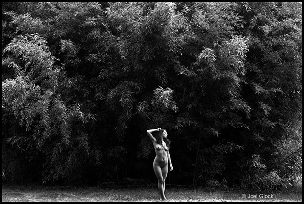 Panther bamboo Artistic Nude Photo by Photographer JoEL GLoCK