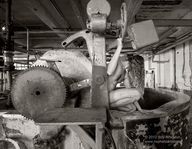 Part of the Machinery Artistic Nude Photo by Photographer Roy Whiddon