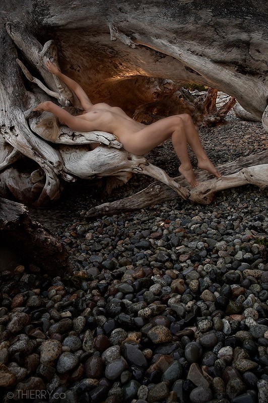 Pebles Beach Artistic Nude Photo by Photographer Thierry.ca