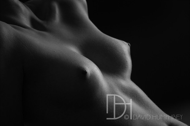 Perky Artistic Nude Photo by Photographer David Humphrey