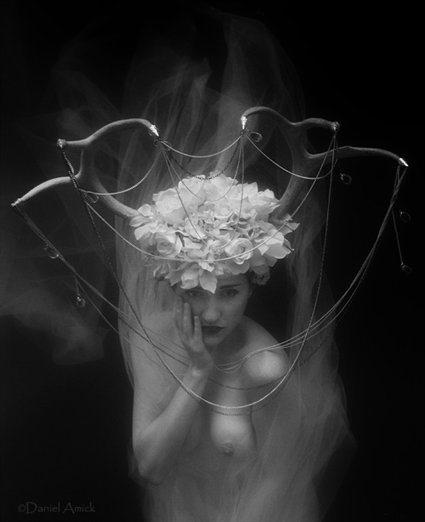 Persephone Artistic Nude Artwork by Photographer Daniel Amick