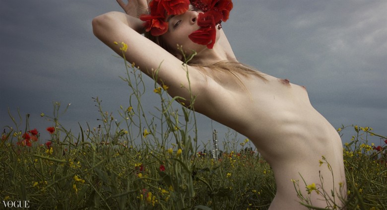 Persephone in a poppyfield Artistic Nude Photo by Artist H%C3%B6gabo Photography
