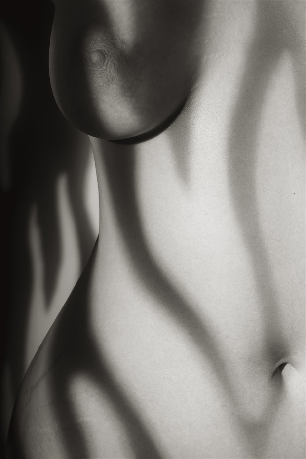 Photo Study of Partial Torso in Patterned Light Artistic Nude Photo by Photographer Mark Bigelow
