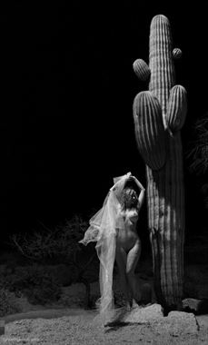 Photographer:  John Graylingstadt  Artistic Nude Photo by Model Sirsdarkstar