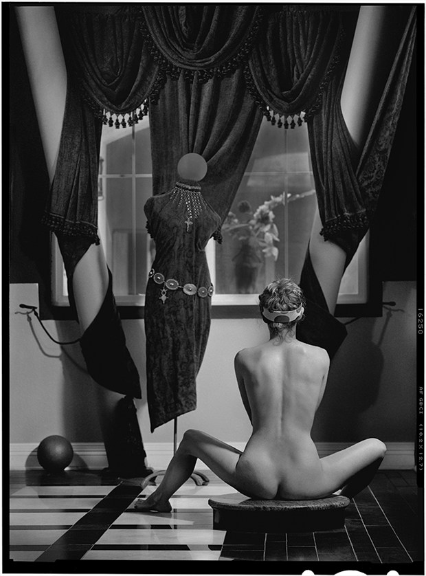 Picture Window  Artistic Nude Photo by Photographer Thomas Sauerwein