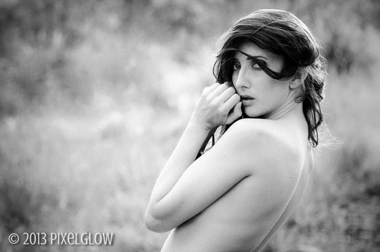 Pixelglow 2013. Artistic Nude Photo by Model Anoush A