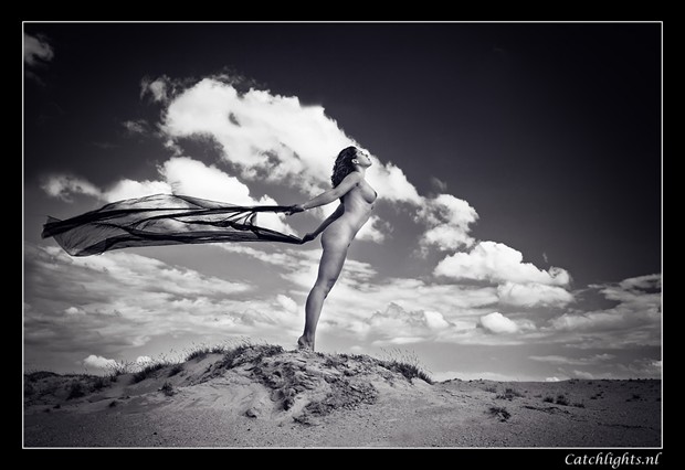 Playing with the wind Artistic Nude Photo by Model Diana