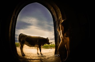 Portal Sensual Photo by Photographer MSotelano