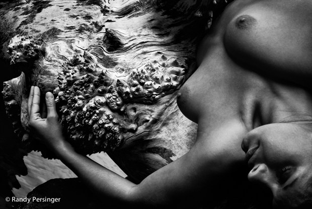 Prickly Embrace Artistic Nude Photo by Photographer Randy Persinger