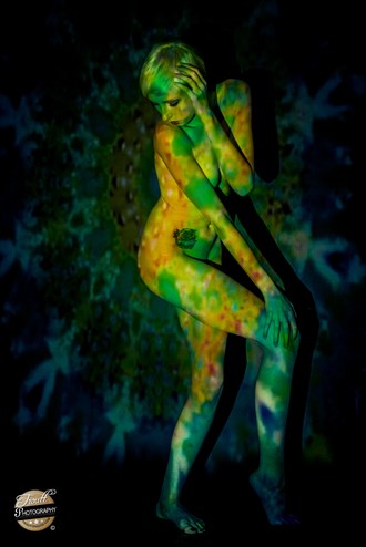 Projections Artistic Nude Artwork by Photographer Trouttphoto