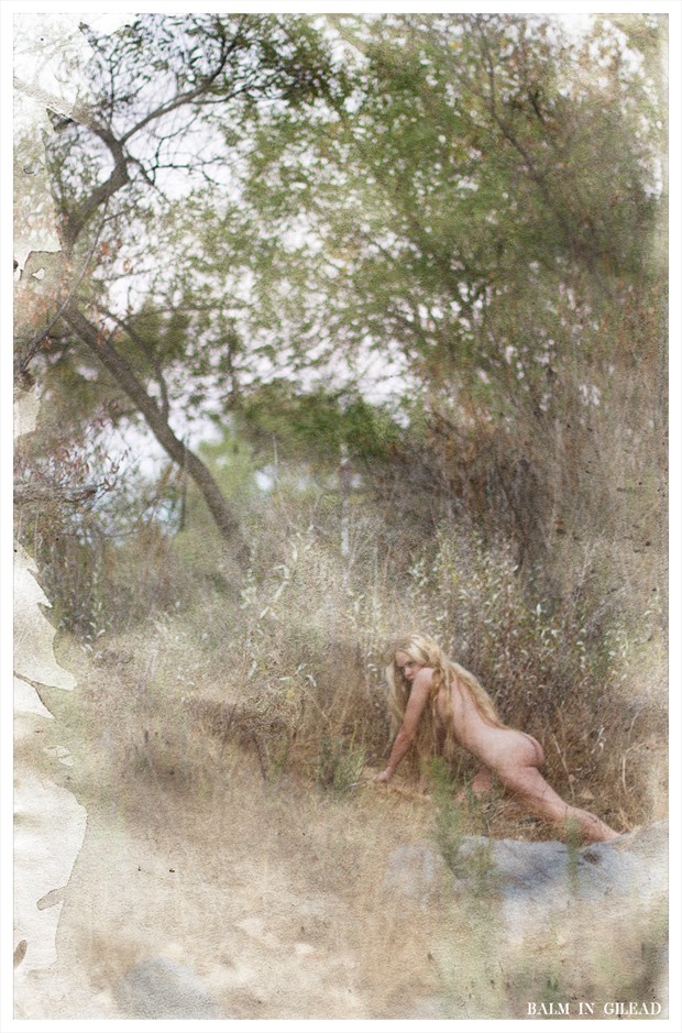 Prowl Artistic Nude Photo by Photographer balm in Gilead