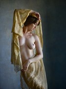 Pure gold Artistic Nude Photo by Photographer Bill Irwin
