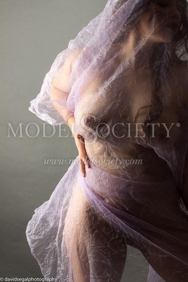 Purple Days Artistic Nude Photo by Model Charlotte Dell'Acqua
