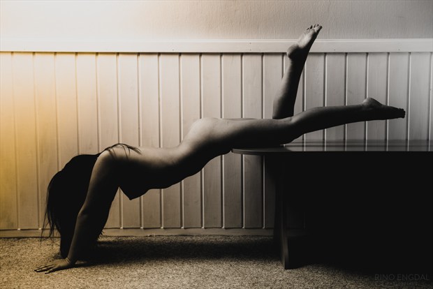 PushUps Artistic Nude Photo by Photographer Rino Engdal