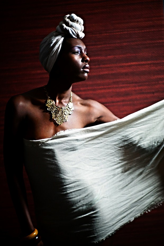 Queen Series: Elegance Implied Nude Photo by Photographer Mshairi