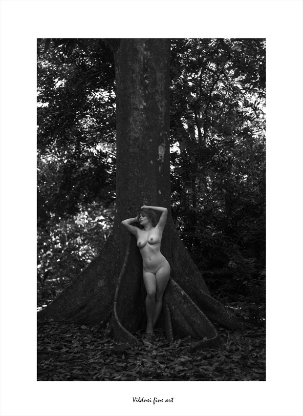 RAIZES Artistic Nude Artwork by Artist VILDNEI ANDRADE