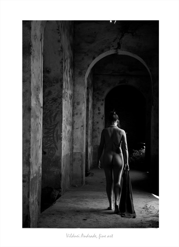 RETORNO Artistic Nude Artwork by Artist VILDNEI ANDRADE