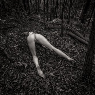 Rabbit Hole Artistic Nude Photo by Model AingealRose